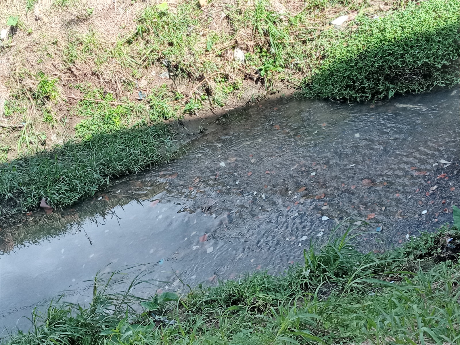 Fotos Depois - Córrego Bocaina (4)