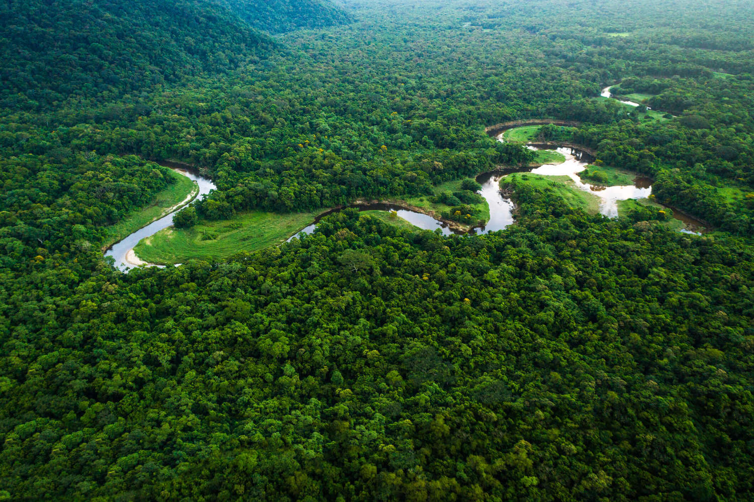 preservação-da-amazônia