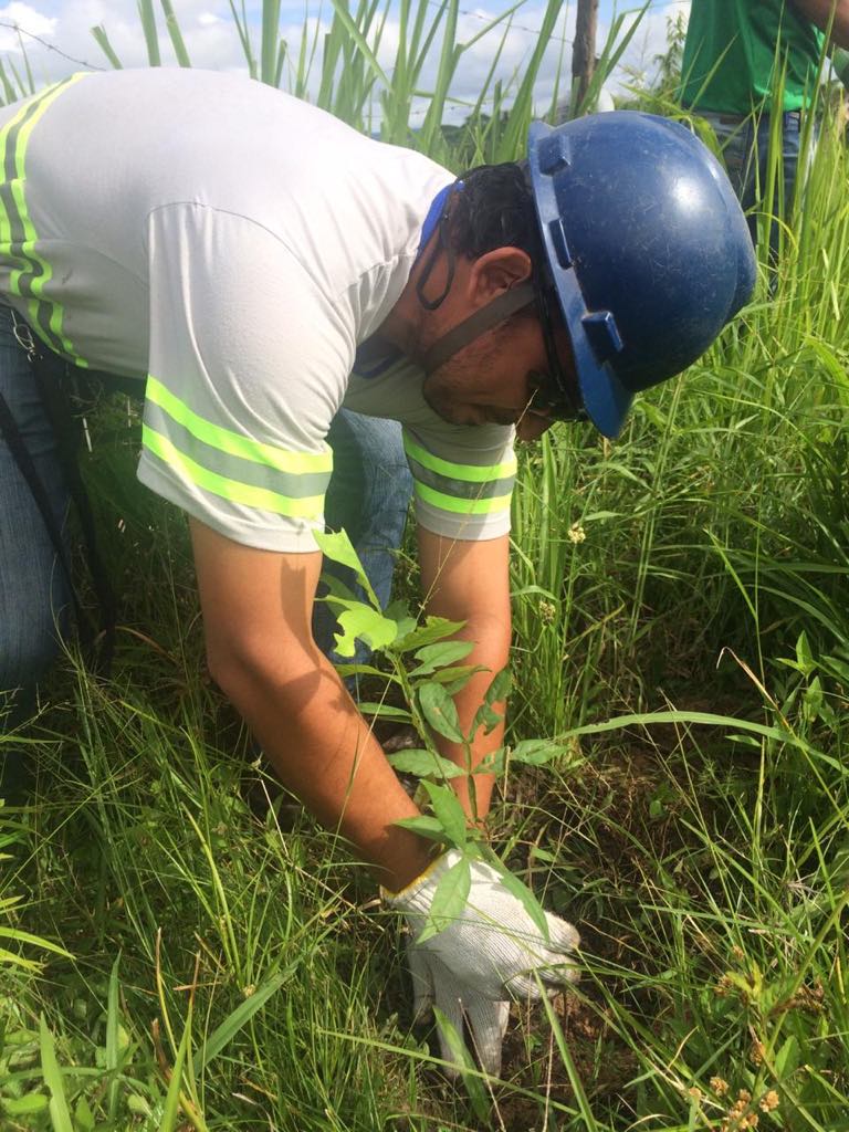 Plantio de Mudas em Xambioá promove a preservação da mata ciliar local.